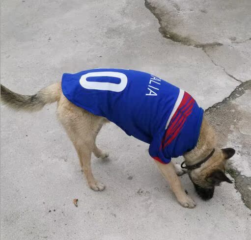 QQ图片20150401123428