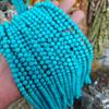 Cuentas de piedra de pino azul optimizadas, cuentas de cuentas, accesorios para pulseras y collares DIY semiacabadas