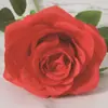 Flor de Casamento Rosa Única flor artificial rosa artificial decoração de sala de estar casa flor interna única decoração