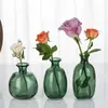 Estilo Escandinavo Creativo Jarrón de Vidrio Hogar Sala de Estar Mesa de Café Adornos Decorativos Arreglo Floral Jarrón Seco Botella de Vidrio Colorida