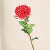 Flor Artificial Cabelo Plantação Agulha Tapete Flor Dominante Flor Estilo Europeu Moderno Simples Flor de Plástico Casamento Decoração de Casa Flor Falsa Fotografia