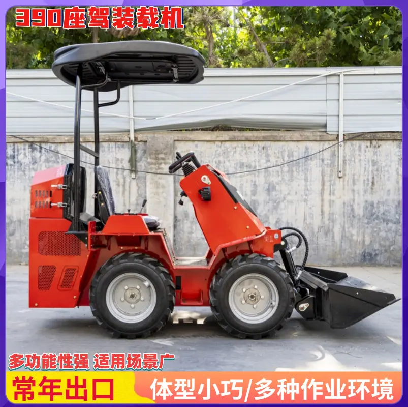 装载机 (19)