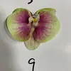 Flor de simulación película de impresión 3D cabeza de flor de Phalaenopsis tocado de flor sombrero flor diy regalo hecho a mano decoración de caja de dulces
