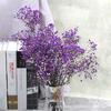Classe A Imortal Gypsophila Yunnan Buquê de flores Flores eternas Dia dos Namorados Gypsophila decoração de casa flores preservadas