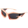 Gafas de Sol Personalizadas Cat-Eye Transfronterizas Tendencia Europea y Americana Fotografía Callejera Hip-Hop Gafas con Forma Especial Gafas de Sol de Moda Venta al por Mayor