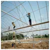 Invernaderos de Unidad Única de Shanghai para Cultivo de Verduras y Frutas, Tubos para Invernadero, Película para Flores, Malla de Sombra, Tubos para Invernadero de Múltiples Vanos