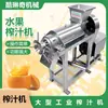 Extractor de Jugo Espiral Grande para Plantas de Producción de Ajo, Prensa Industrial de Jengibre, Máquina Trituradora y Extractor de Jugo de Frutas de Limón
