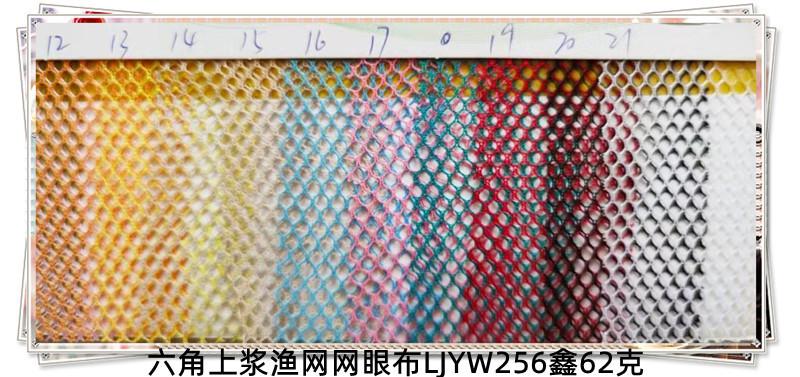 六角上浆渔网网眼布LJYW256鑫62克2023年4义 (4