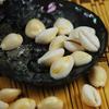 Conchas do Mar, Sementes e Castanhas Assadas, Anéis Brancos, Caracóis Dourados, Moedas Amarelas, Acessórios Decorativos para Casa DIY, Adesivos de Parede com Borda Dourada, Aquário