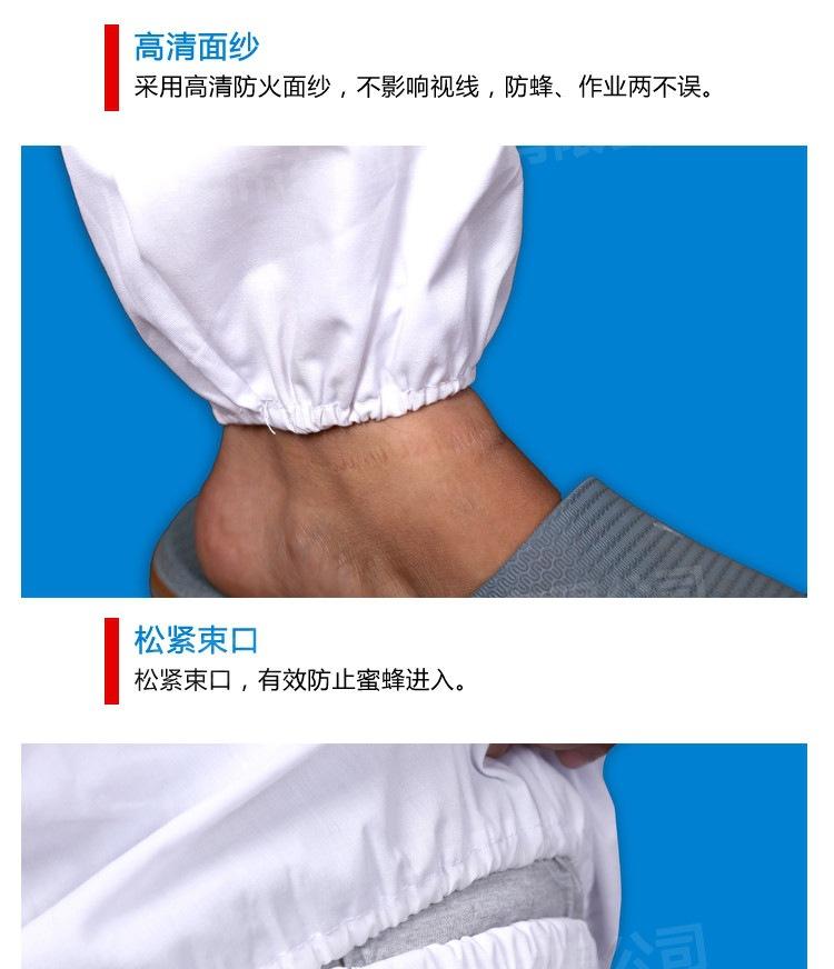 分体