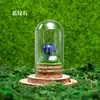 Venta al por mayor de fábrica Piedra Bruta de Cristal Natural Muestra de Mineral para Niños Divulgación Científica Enseñanza Piedra Semipreciosa Adorno de Escritorio para el Hogar