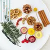 Virutas de Madera Cáscara de Nuez Material Planta Taibao Especimen Piña de Pino Paquete de Materiales de Flores Secas DIY Chen Mai Hecho a Mano Bellota Seca Marco de Fotos