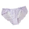 Ropa Interior Nuevo Estilo Europeo y Americano, Moda Popular Transparente Sexy de Cintura Media con Encaje, Malla Sin Costuras para Mujer, Estilo Delgado de Verano