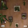 Veja Placa de Plantio Samambaia Cervo, Porta-Retrato de Plantio em Placa, Quadro de Plantio, Quadro de Resina para Plantação de Orquídea