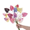 Jiamo Trompeta Flamenco Estilo INS Fabricante de Flores Artificiales Decoración del Hogar Boda Venta al por Mayor Artesanías de Flores Artificiales Transfronterizo
