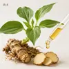 Aceite de masaje corporal a base de hierbas orientales hecho a medida OEM, aceite corporal relajante y calmante con extractos de plantas de marca privada ODM desde la fábrica de origen