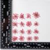 Flor Nieve Perla Deflector Flor Material Gota de Goma Flor Seca diy Flor Hecha a Mano Planta Flor Enseñanza Flor Seca Espécimen Flor Verdadera Natural
