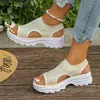 Zapatos de Mujer Estilo Manga Transfronterizos Europeos y Americanos de Tacón Bajo Boca de Pez Fuente Zapatos Casuales Moda Otoño 2025 Sandalias Venta al por Mayor Tallas Grandes