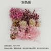 [Flores en Bolsa] Flores Eternas Flores Secas Hecho a Mano DIY Marco de Fotos Grupo de Flores Eternas Actividades de Construcción de Grupos Gotas de Gel de Flores Secas