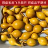 Calabazas Suaves Bellamente Elaboradas para Manipular y Coleccionar, Calabazas de Piel Morada con Pátina, Calabazas Retorcidas a Mano, Artículos de Mano, Calabazas para Vendedores Ambulantes al por Mayor