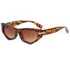 Gafas de sol de estilo hip hop para fiesta de graduación 2023, nuevas gafas de sol poligonales personalizadas, gafas de sol de moda que combinan con todo para mujer.