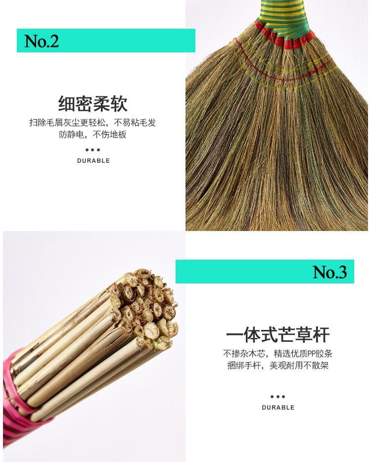 芒草更新_11