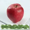 Manzana falsa simulación fruta manzana roja hogar decoración temprana educación accesorios ventana fotografía modelo plástico decoración mobiliario