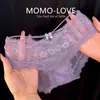 A Noite Está Nebulosa~Calcinhas de Renda Vazada Sexy e Sedutoras de Novo Estilo para Mulheres, Puro Desejo, Calcinhas Finas e Respiráveis para Mulheres