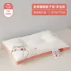 Travesseiro Infantil para Idades 3-6, Núcleo de Travesseiro Pai-Filho, Proteção do Pescoço, Auxílio para Dormir, Dormitório Estudantil, Uso Doméstico, Núcleo de Travesseiro Individual, Todas as Estações