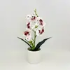 5 Flores Artificiais Phalaenopsis em Vaso Decoração para Salão de Casamento Ornamentos de Flores Artificiais de Plástico Planta Verde para Mesa de Escritório Bonsai