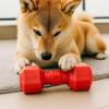 Juguete para Limpiar los Dientes de Mascotas para Perros Grandes, Medianos y Pequeños, Juguete Masticable Duradero de TPR para Perros para Aliviar el Estrés