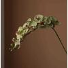 Flor Artificial Phalaenopsis alta qualidade Textura Ramo Único Flor Falsa Decoração Sala de Estar Mesa de Jantar Decoração Flor Flores Ornamentos