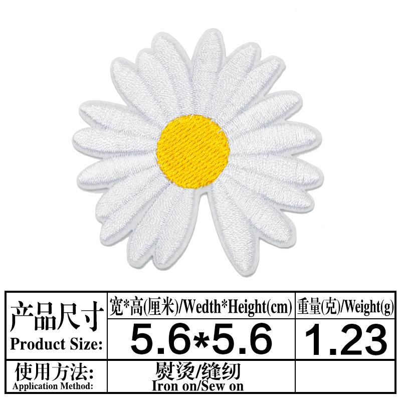 05.jpg