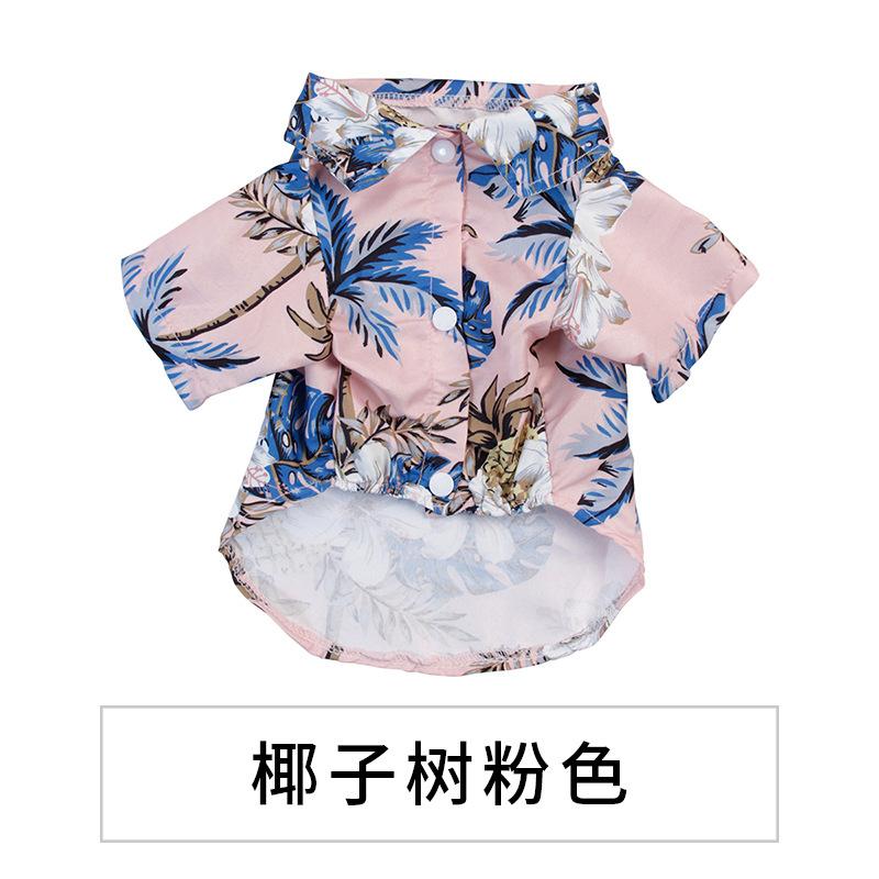 椰粉.jpg