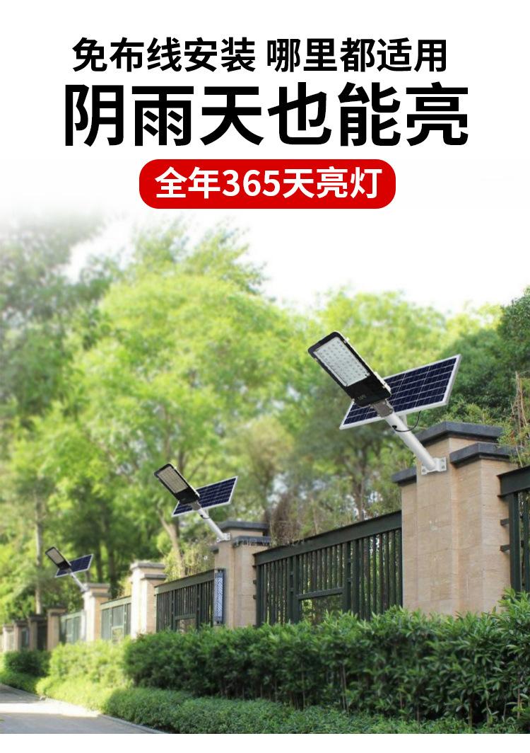 金豆款_07.jpg