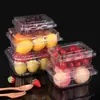 Caixa de embalagem descartável para frutas, plástico espessado, transparente com tampa, embalagem de 0,5 kg, para frutas cortadas de supermercado, frutas e vegetais, caixa de embalagem para confeitaria