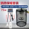 Lámpara de Calor para Loro, Calentador de Pájaros Anti-Quemaduras y Anti-Mordeduras para Codorniz, Esencial de Invierno, Lámpara de Calefacción para Mascotas Hámster