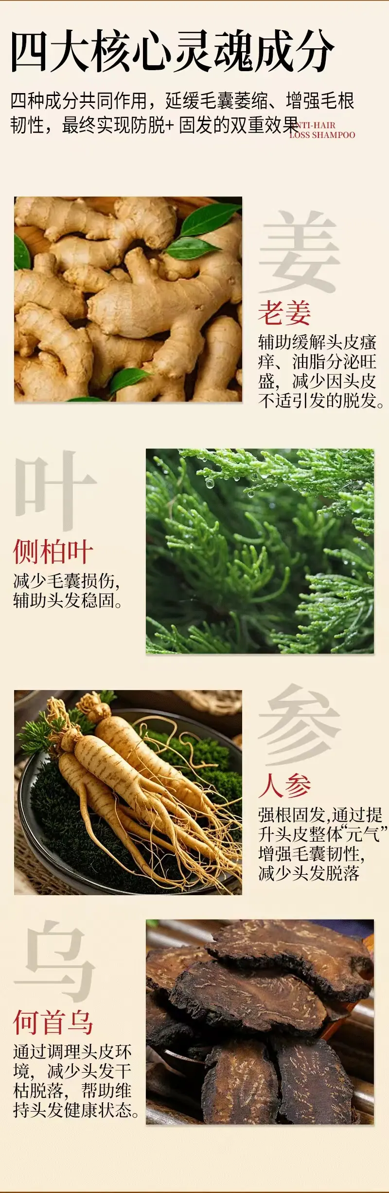 详情5.jpg