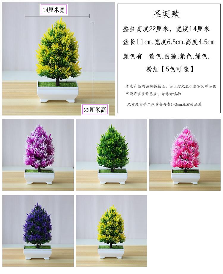圣诞松_01
