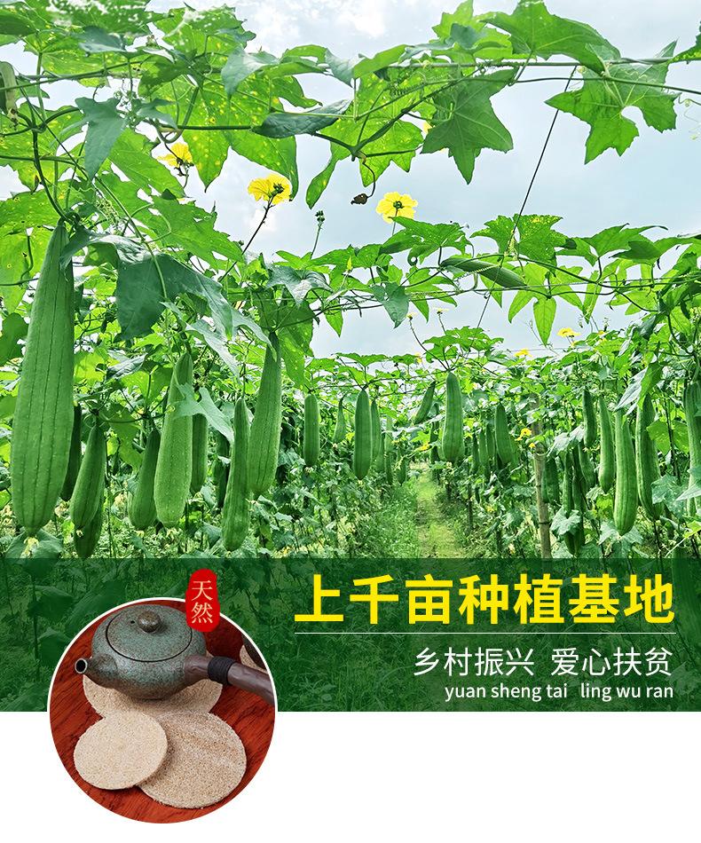 丝瓜络种植.jpg