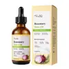Champú Acondicionador Romero Cebolla Transfronterizo Cuidado del Cabello Aceite Esencial Mascarilla para el Cabello Aceite para el Cabello Champú Personalización OEM
