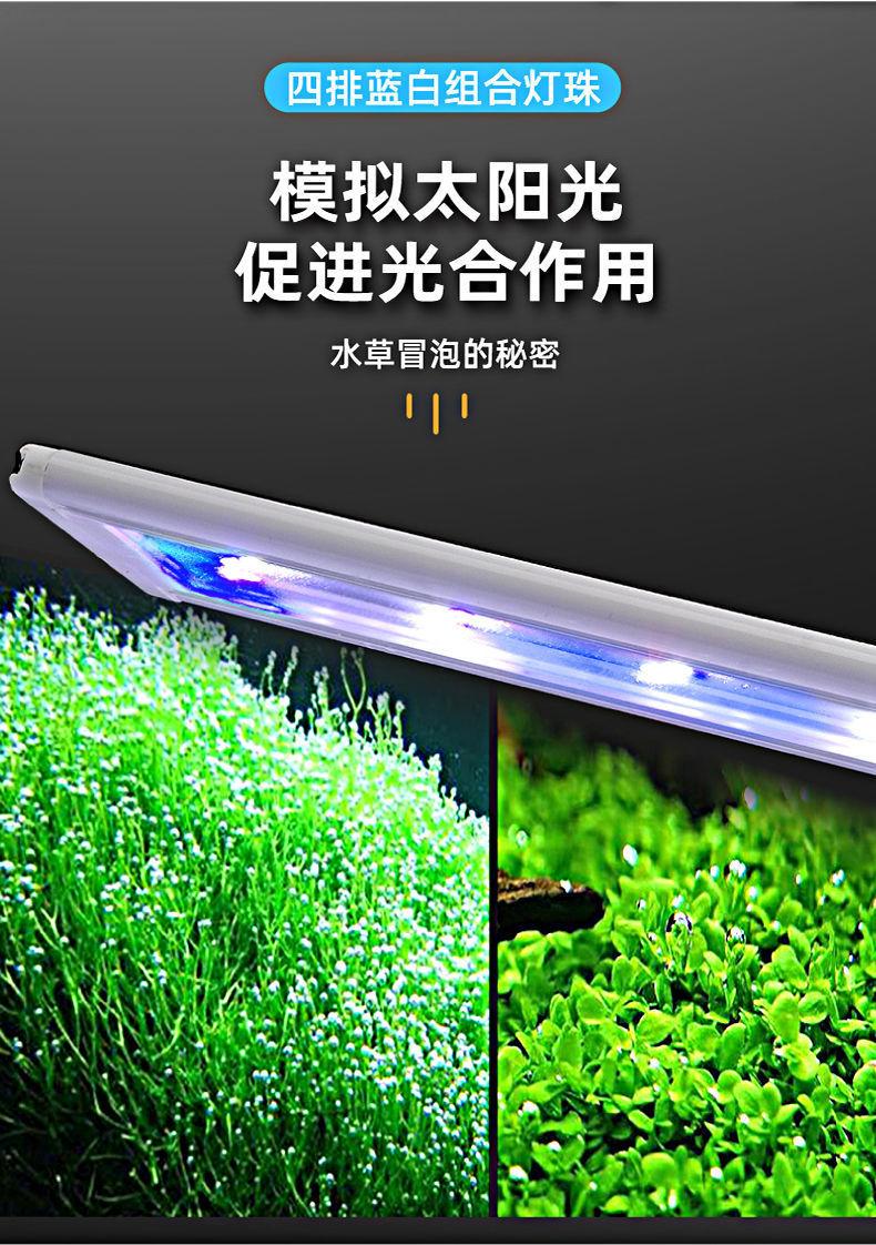 41828cad-f353-4580-ae10-992ce91a9c15.jpe