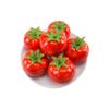 Simulación Manzana Falsa Accesorios de Utilería para Disparos Decoración Rama Decoración Diseño de Escena Simulación Fruta Molde Fruta Falsa
