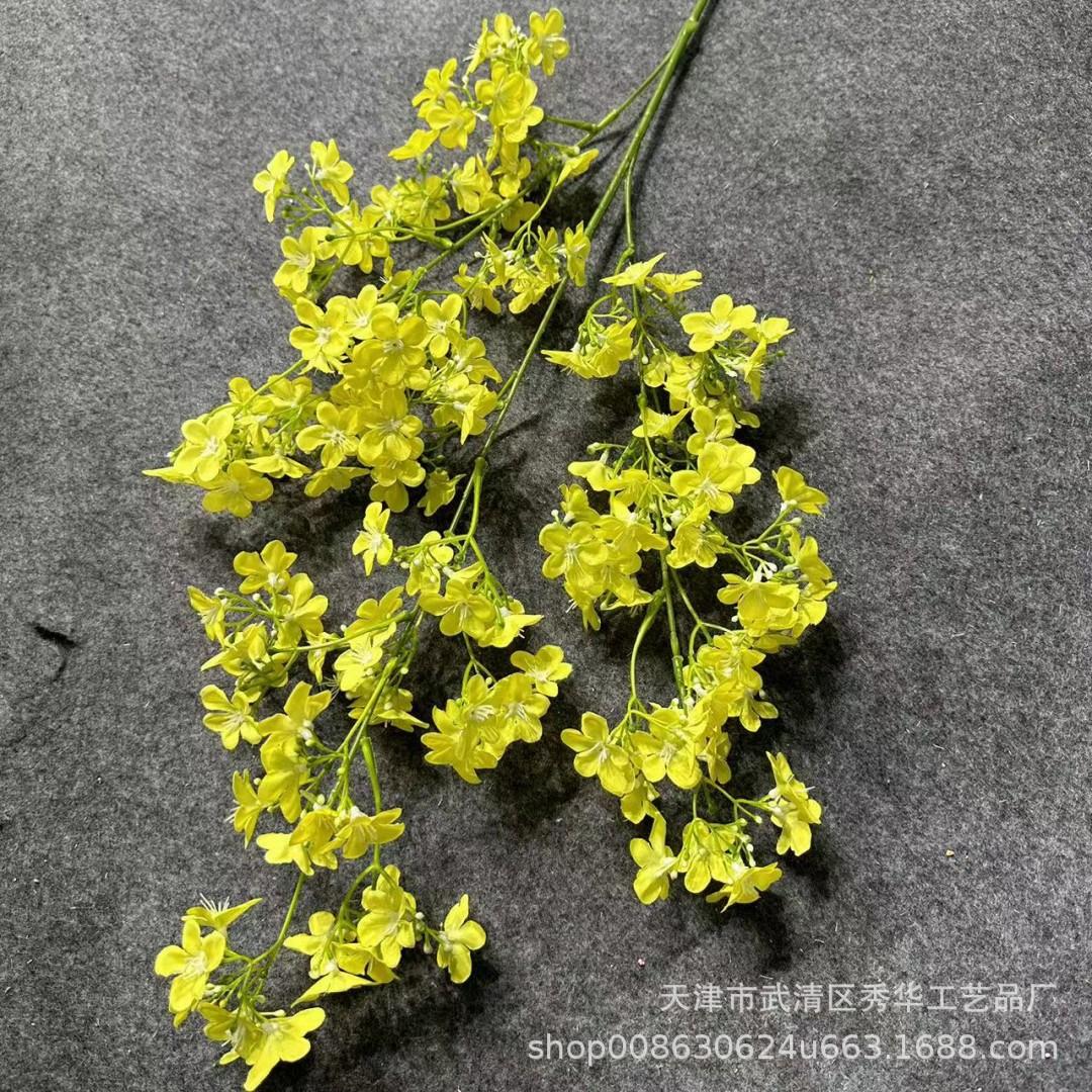 丁香花黄色