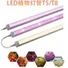 T5t8 lámpara de crecimiento de plantas de espectro completo impermeable para interiores lámpara para plántulas de flores suculentas lámpara para plantas tubo de luz de relleno para plantas