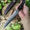Cuchillo Recto de Acero de Damasco de Alta Dureza para Acampada al Aire Libre, Cuchillo de Deshuesar Portátil, Cuchillo de Carne para Defensa Personal, Cuchillo de Colección para Regalo