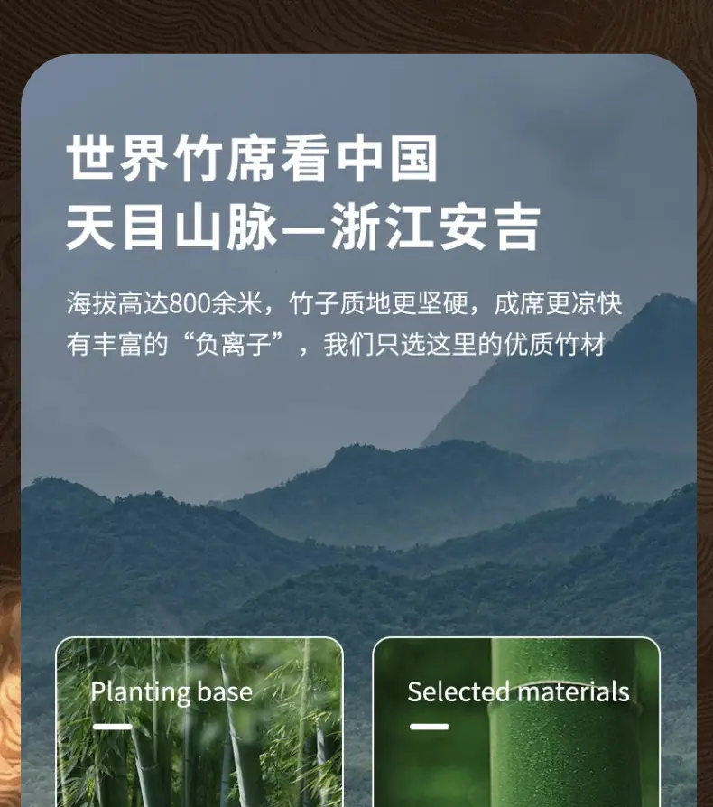 ccc689b9-dd53-47a4-8725-9e47d5686d98.jpe