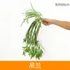 Parede de Plantas Simuladas Parede de Plantas Verdes Gramado Falso de Plástico Parede de Fundo Cabeça de Porta de Eucalipto Loja Interna Parede de Flores Decoração