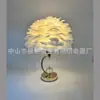Lámpara de mesa personalizada de plumas, nueva y moderna, para dormitorio acogedor, sala de estar, hotel y casa de huéspedes; Iluminación Personalizada para Envíos Transfronterizos, Estilo Ins