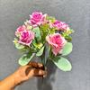 Paquete de rosas de simulación de boda, 7 tenedores, rosas de ángulo pequeño, decoración para el hogar y exteriores, accesorios de fotografía transfronterizos, disfraces